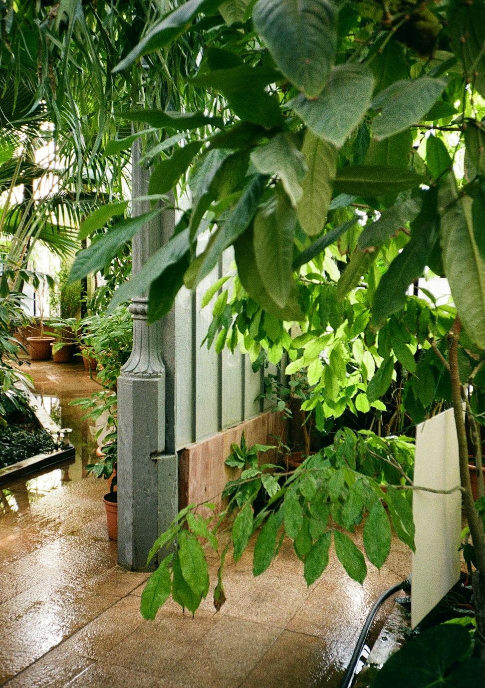 Rainwater House