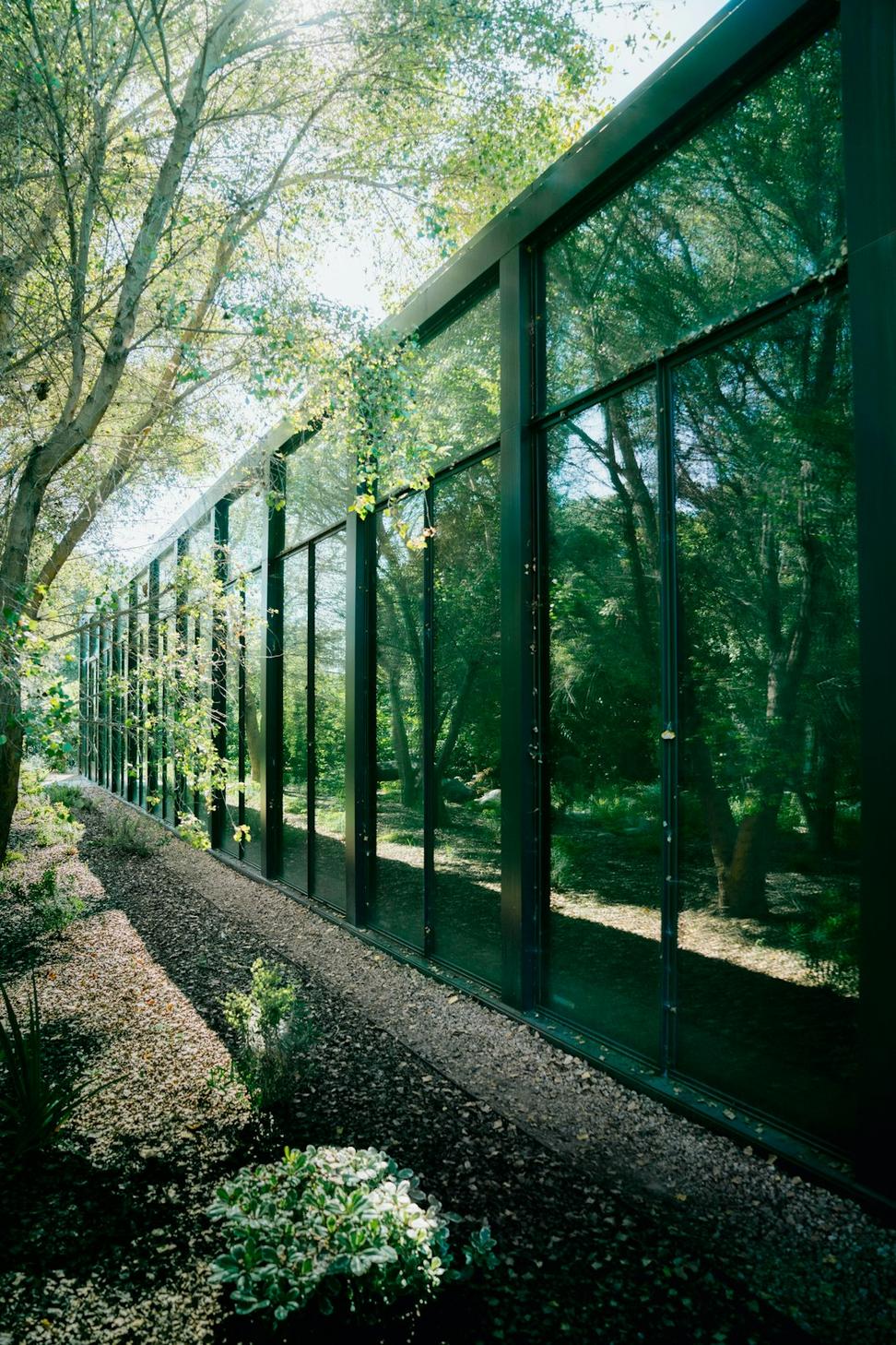 Forest Edge Dwelling