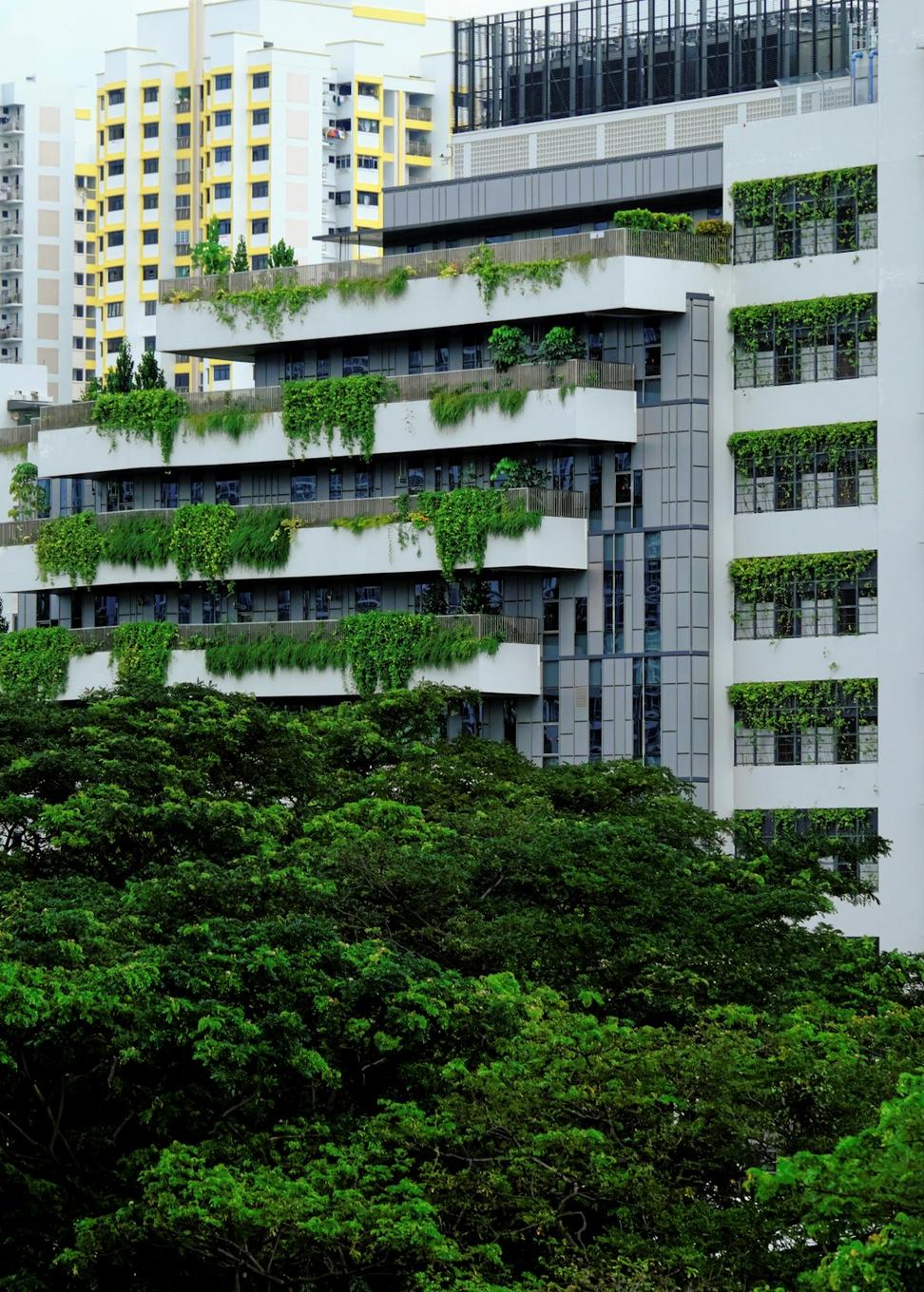 Urban Garden Integration